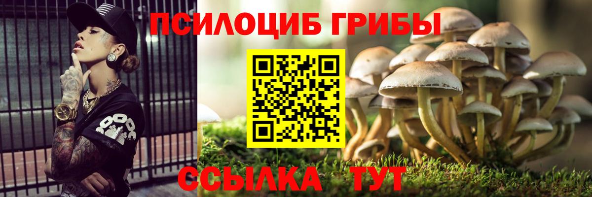 Псилоцибиновые грибы Cubensis  Вход с VPN  купить   Татарск  Галлюциногенные грибы Psilocybine cubensis 